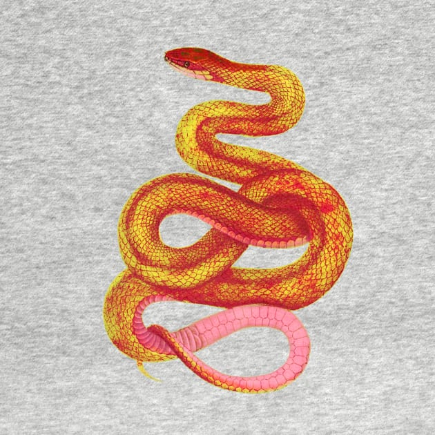 serpent,cobra,reptile,viper,venom,lizard,rattlesnake,king cobra,dragon,hydra,poison,venomous,plumber's snake,pythonidae,pythons,auger,python,squamata,serpentine,worm,big,ophidian,rattlesnakes,medusa,snakebite by vabontchi